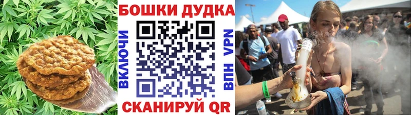 дарнет шоп  Баксан  Canna-Cookies конопля 