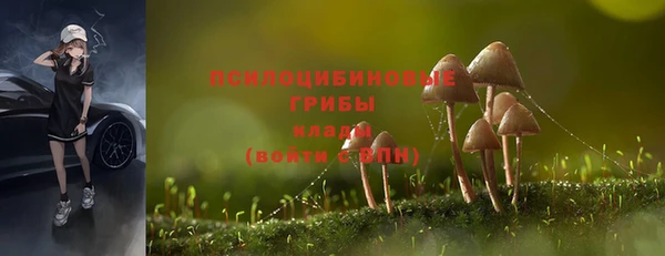 ECSTASY Аркадак