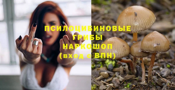 ECSTASY Аркадак
