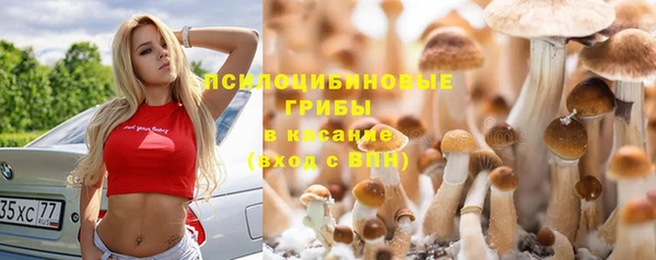 ECSTASY Аркадак